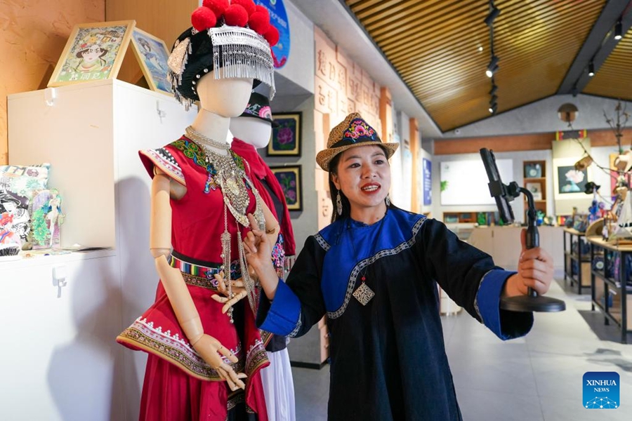 Deputata dell'Assemblea Popolare Nazionale modernizza l'antico ricamo Yi