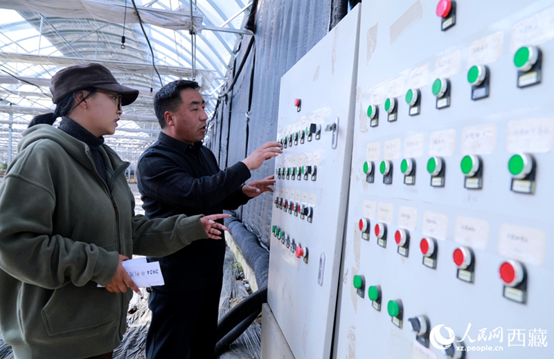 Serre d'altopiano dotate di sistemi intelligenti