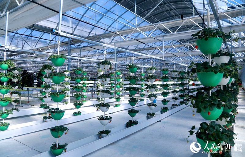 Serre d'altopiano dotate di sistemi intelligenti