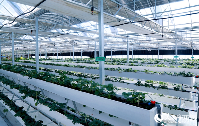 Serre d'altopiano dotate di sistemi intelligenti