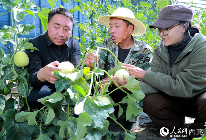 Serre d'altopiano dotate di sistemi intelligenti