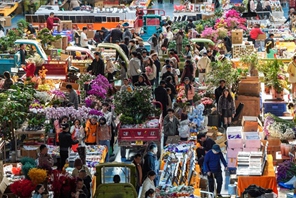 Il Mercato dei fiori Dounan registra un boom di vendite per il Capodanno cinese