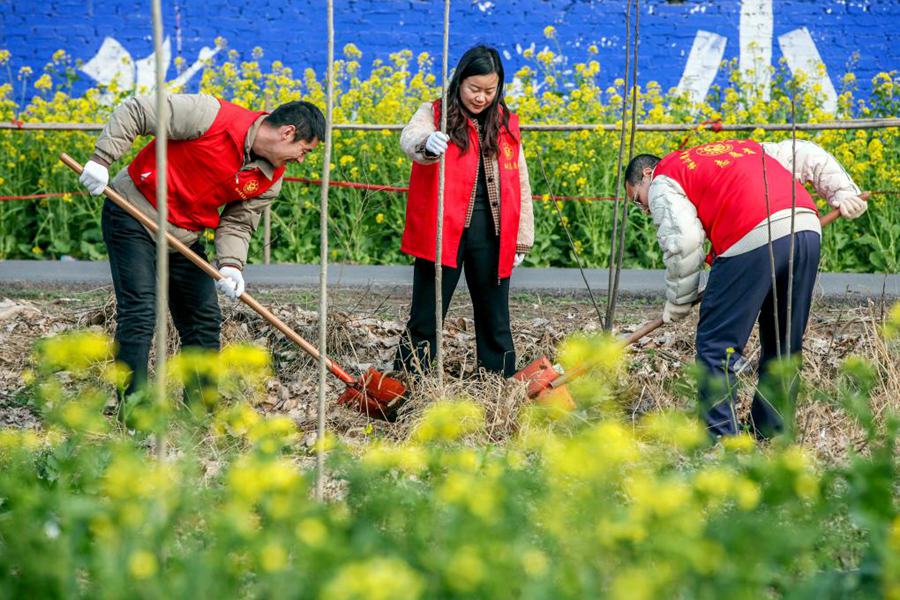 Attività di piantumazione di alberi organizzate in tutta la Cina