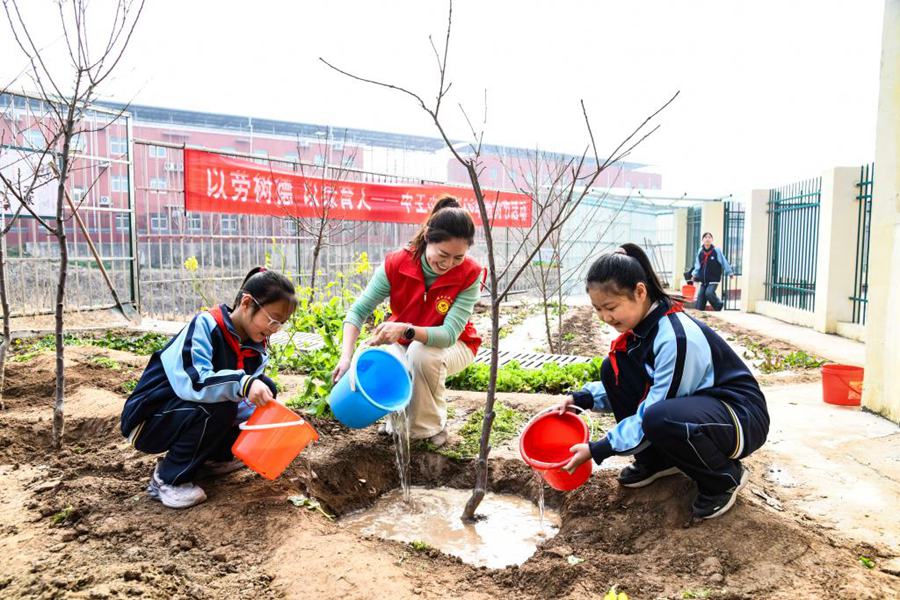 Attività di piantumazione di alberi organizzate in tutta la Cina