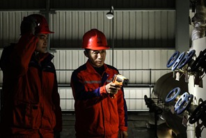 I custodi della rete elettrica