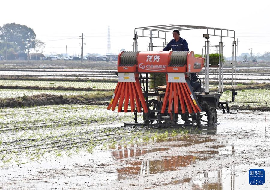 Guangxi, tecnologia potenzia la semina primaverile