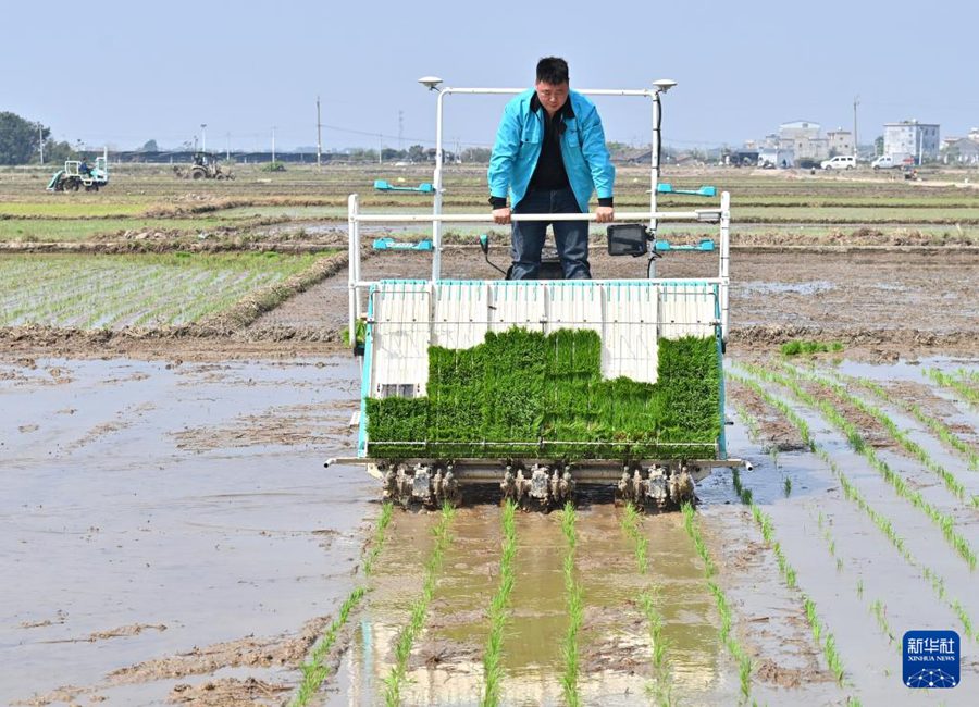 Guangxi, tecnologia potenzia la semina primaverile