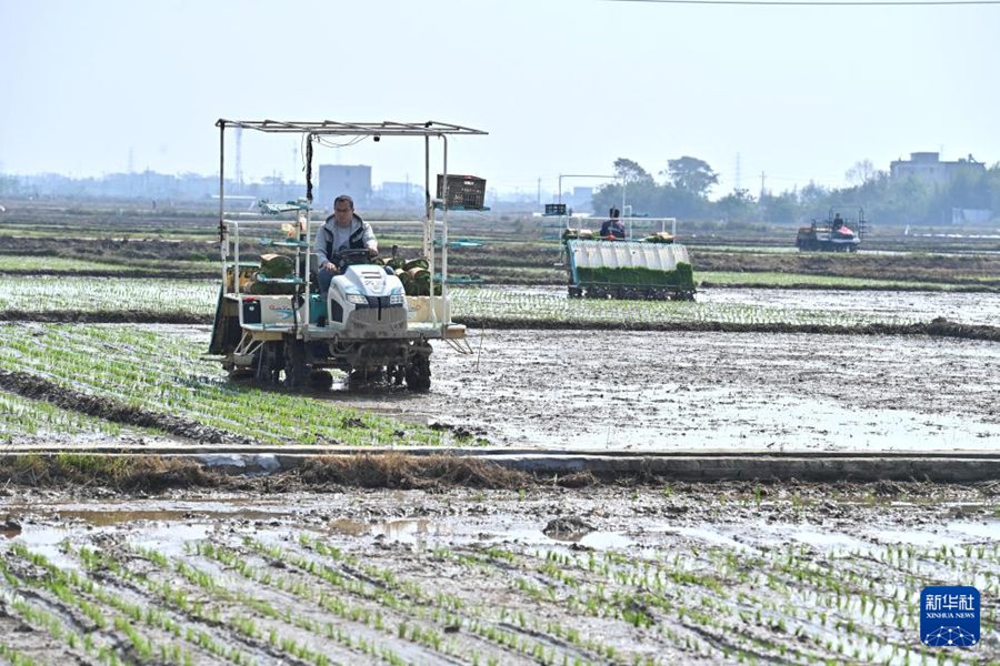 Guangxi, tecnologia potenzia la semina primaverile