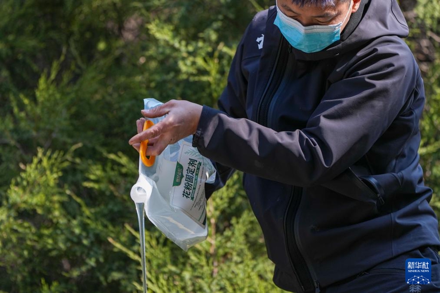 Beijing: Misure multiple per combattere il polline allergenico