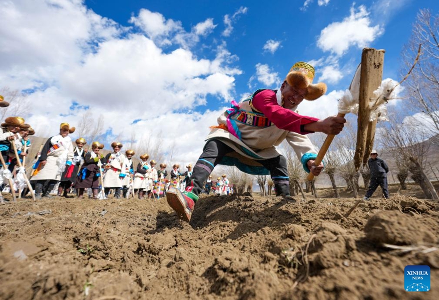 Cerimonie per l'avvio della semina primaverile si tengono in Xizang