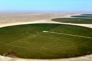 Dischi verdi nel deserto meridionale dello Xinjiang