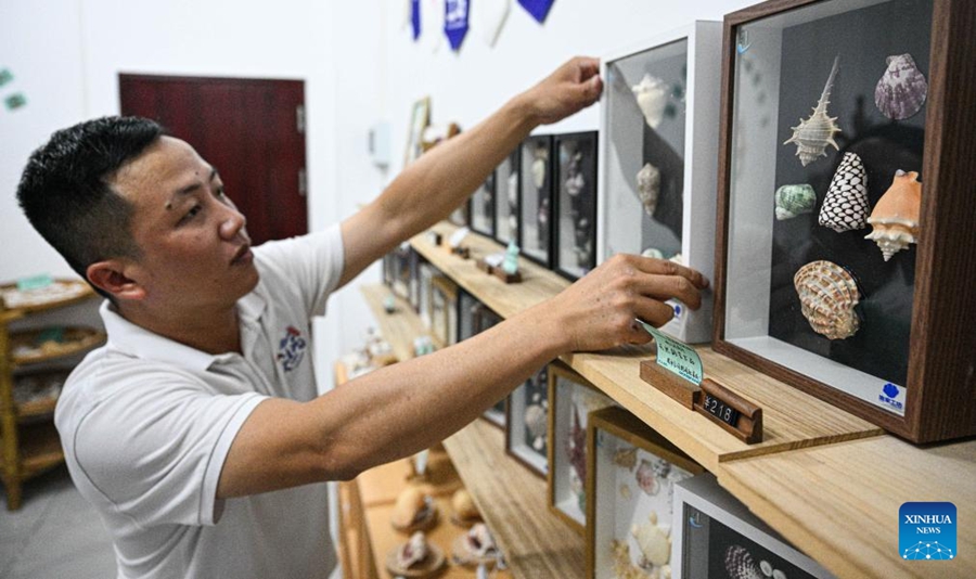 Isola arida si trasforma in un tesoro verde dopo anni di sforzi di conservazione a Hainan