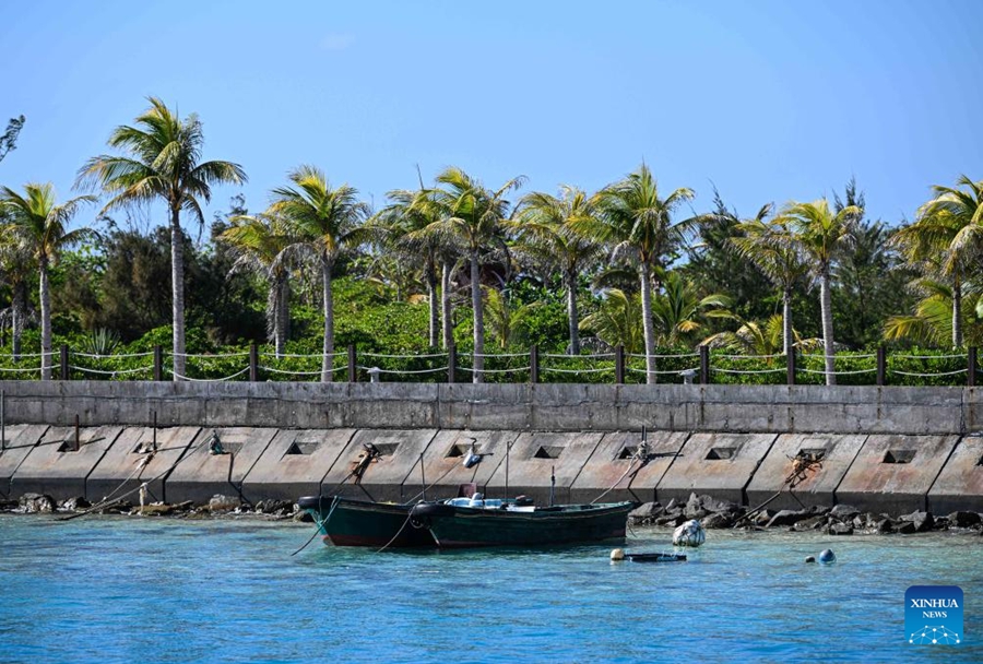 Isola arida si trasforma in un tesoro verde dopo anni di sforzi di conservazione a Hainan