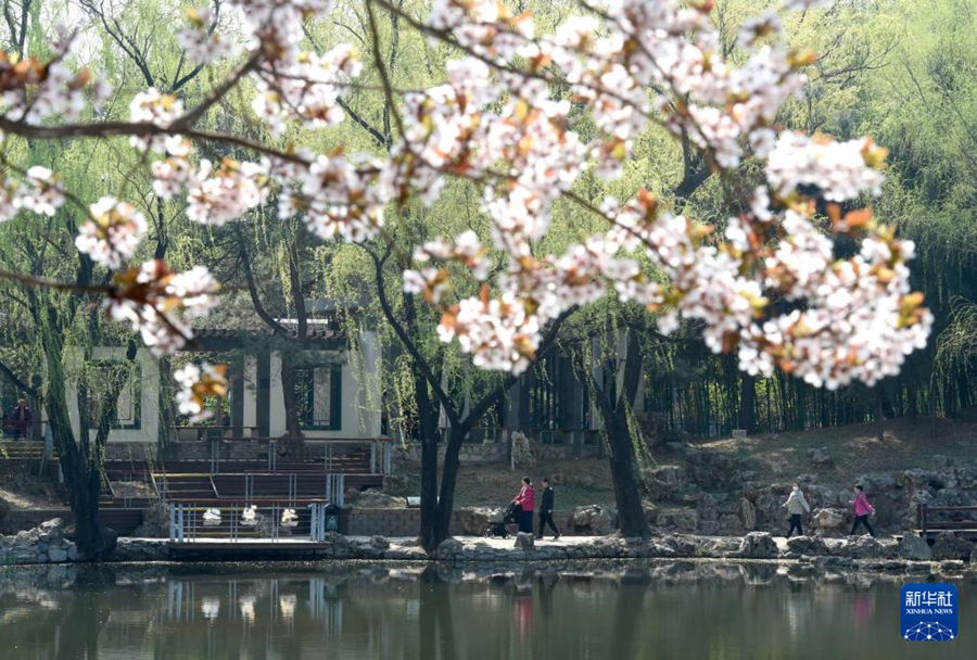 Primavera nel pieno del suo splendore in tutto il Paese