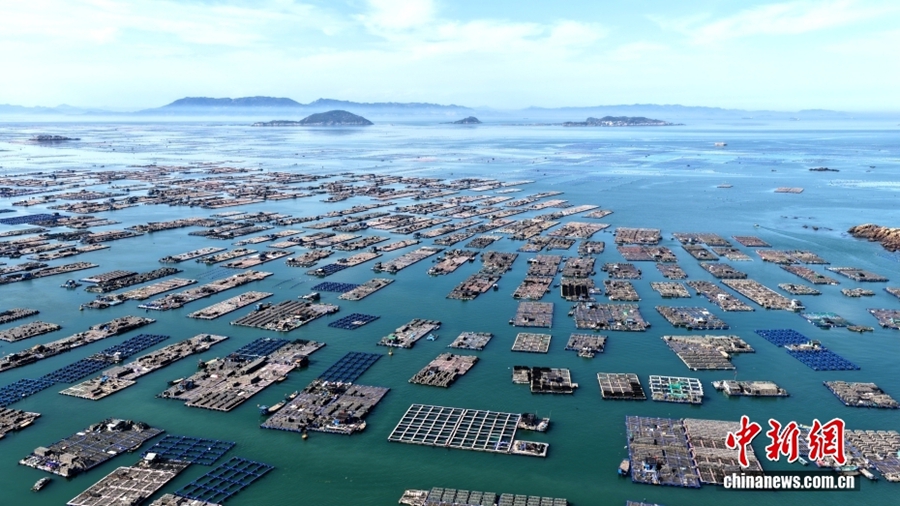 Lianjiang, Fujian: Allevamento ittico in piena attività