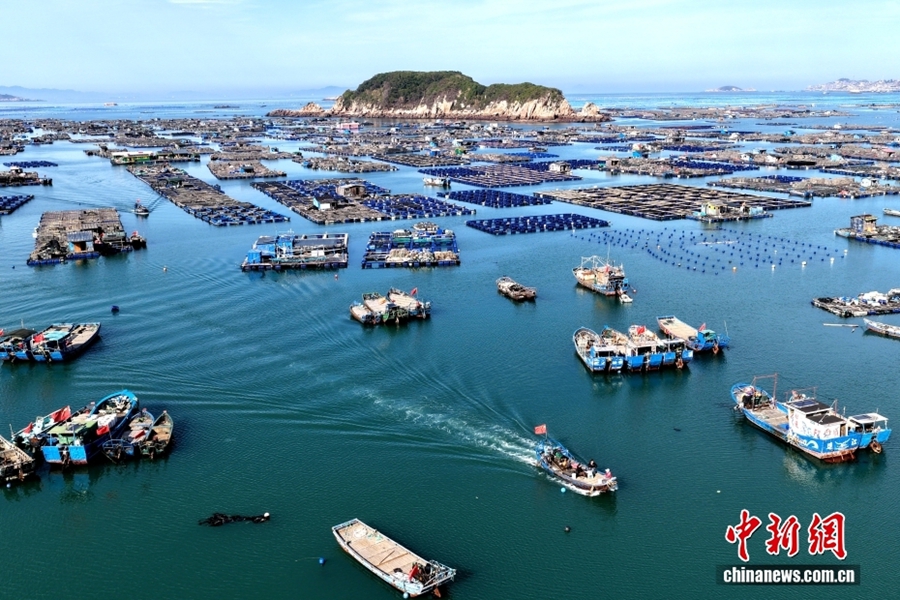 Lianjiang, Fujian: Allevamento ittico in piena attività