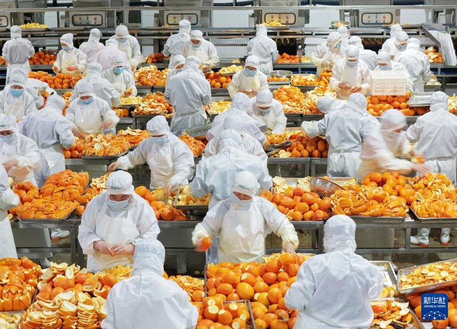 La lavorazione integrale delle arance navel promuove la rivitalizzazione rurale in Hubei