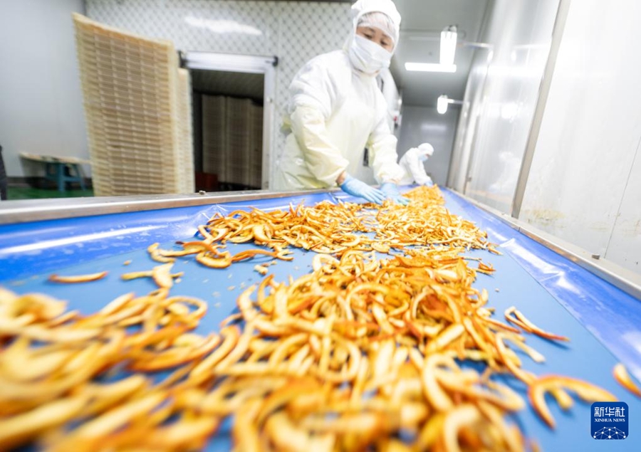 La lavorazione integrale delle arance navel promuove la rivitalizzazione rurale in Hubei