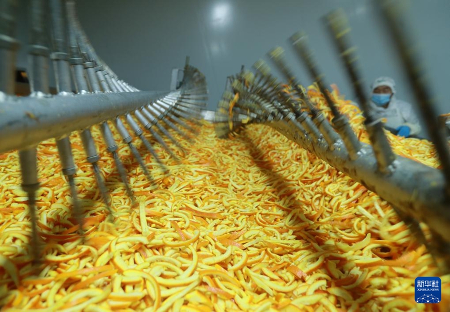 La lavorazione integrale delle arance navel promuove la rivitalizzazione rurale in Hubei