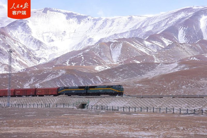 Treno merci in viaggio lungo la Ferrovia Qinghai-Xizang. (Foto/Quotidiano del Popolo)