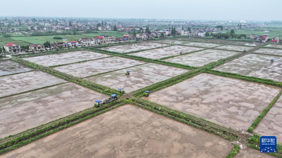 Macchine agricole senza pilota facilitano la semina primaverile