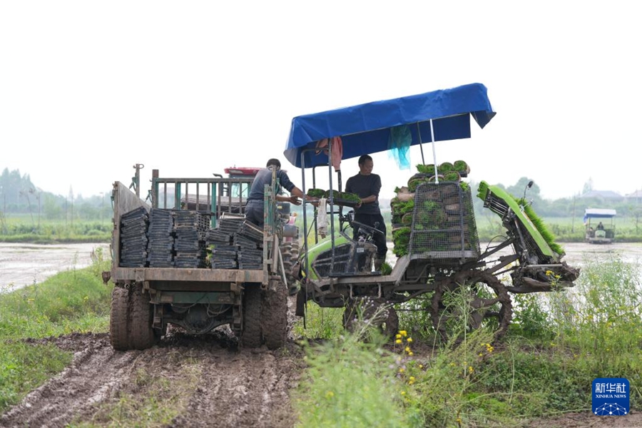 Macchine agricole senza pilota facilitano la semina primaverile
