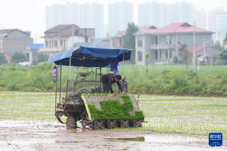 Macchine agricole senza pilota facilitano la semina primaverile