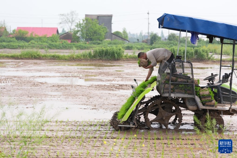Macchine agricole senza pilota facilitano la semina primaverile