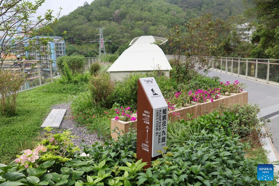 Shenzhen esplora un percorso distintivo per la conservazione della biodiversità nelle aree urbane