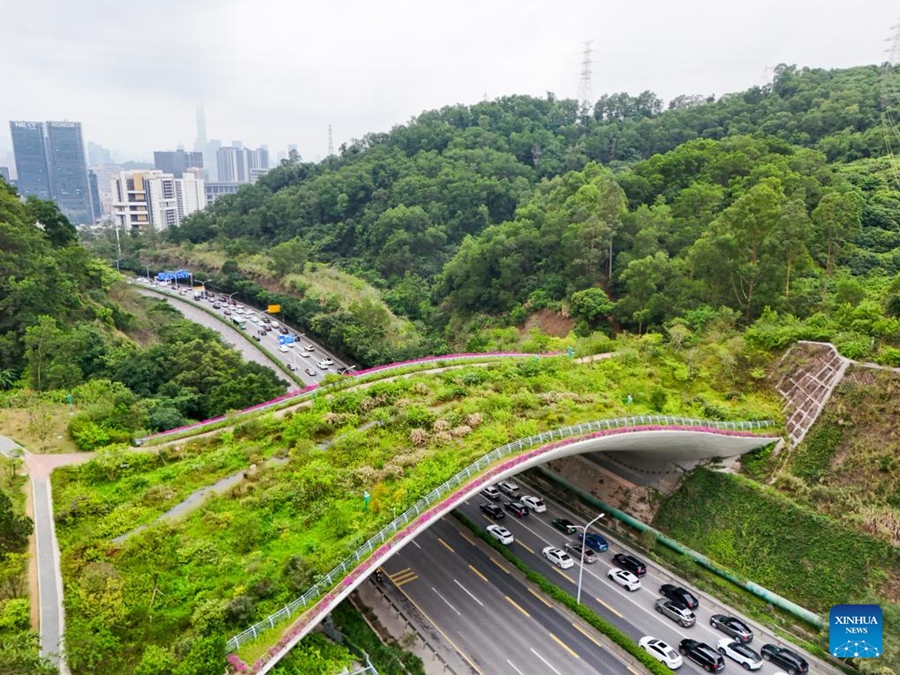 Shenzhen esplora un percorso distintivo per la conservazione della biodiversità nelle aree urbane
