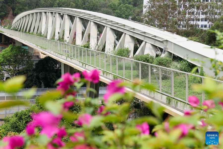 Shenzhen esplora un percorso distintivo per la conservazione della biodiversità nelle aree urbane