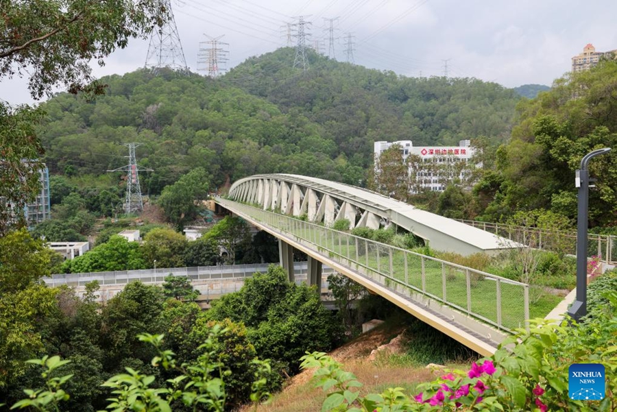 Shenzhen esplora un percorso distintivo per la conservazione della biodiversità nelle aree urbane