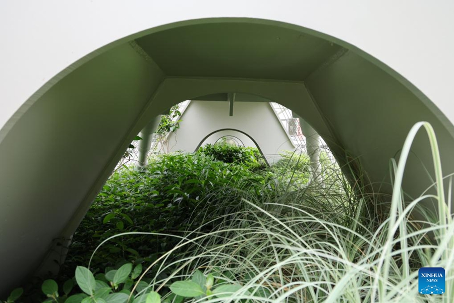 Shenzhen esplora un percorso distintivo per la conservazione della biodiversità nelle aree urbane