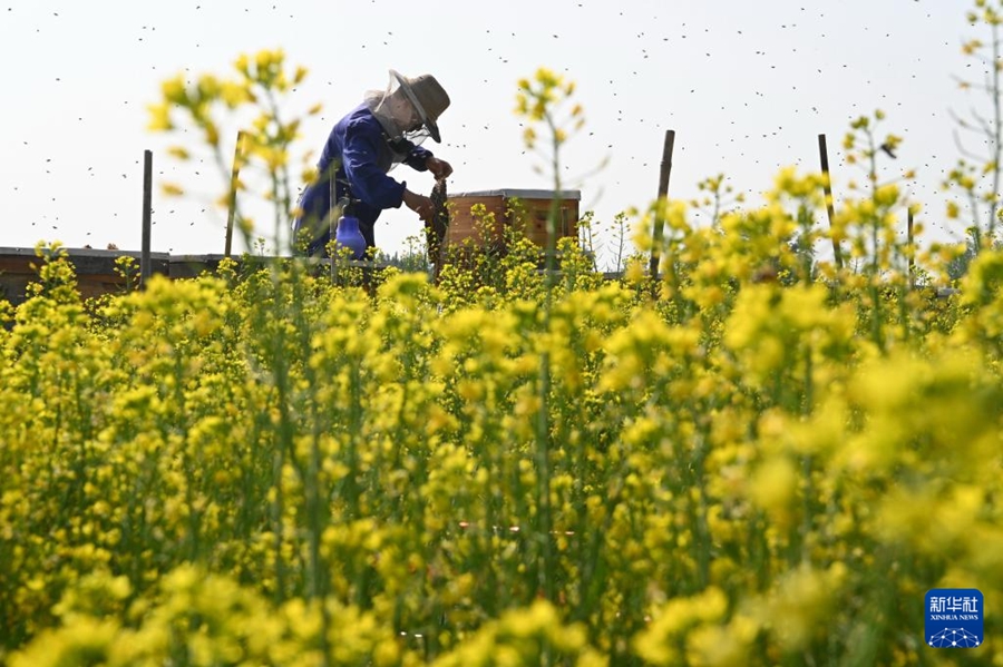 Intensa stagione agricola primaverile