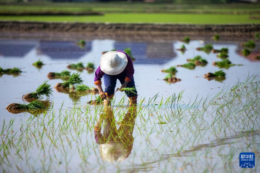 Intensa stagione agricola primaverile