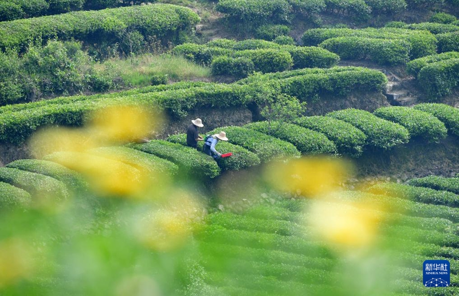 Intensa stagione agricola primaverile