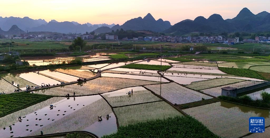 Intensa stagione agricola primaverile