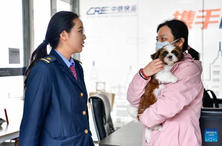 Servizio di trasporto animali domestici su treni ad alta velocità pronto per l'afflusso del Primo Maggio