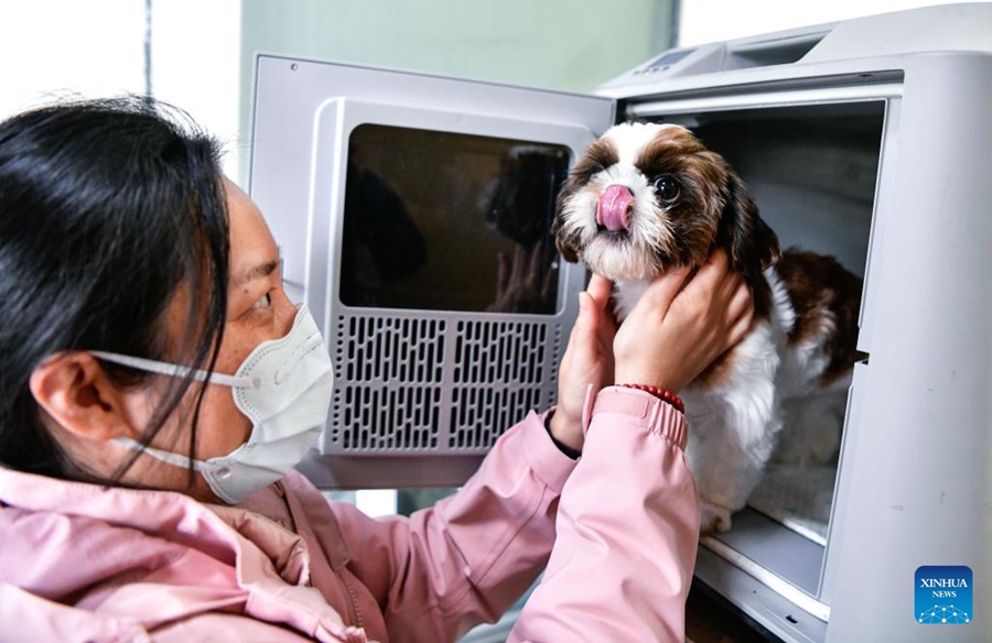 Servizio di trasporto animali domestici su treni ad alta velocità pronto per l'afflusso del Primo Maggio