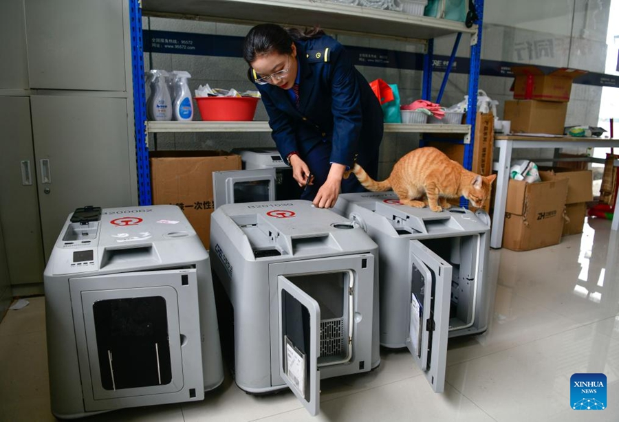 Servizio di trasporto animali domestici su treni ad alta velocità pronto per l'afflusso del Primo Maggio