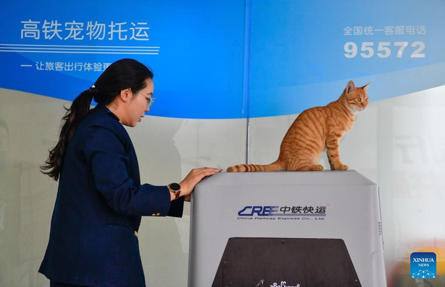 Servizio di trasporto animali domestici su treni ad alta velocità pronto per l'afflusso del Primo Maggio