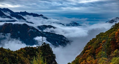 Scienziati identificano la Cina centrale come nuovo hotspot globale di biodiversità