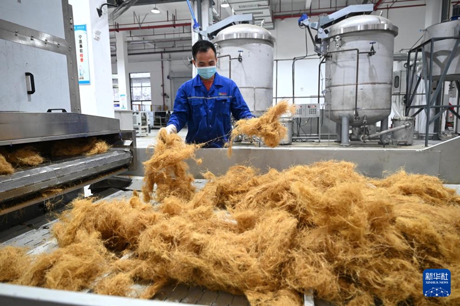 Liuzhou: Sostituzione della plastica con materiali a base di bambù nell'industria automobilistica