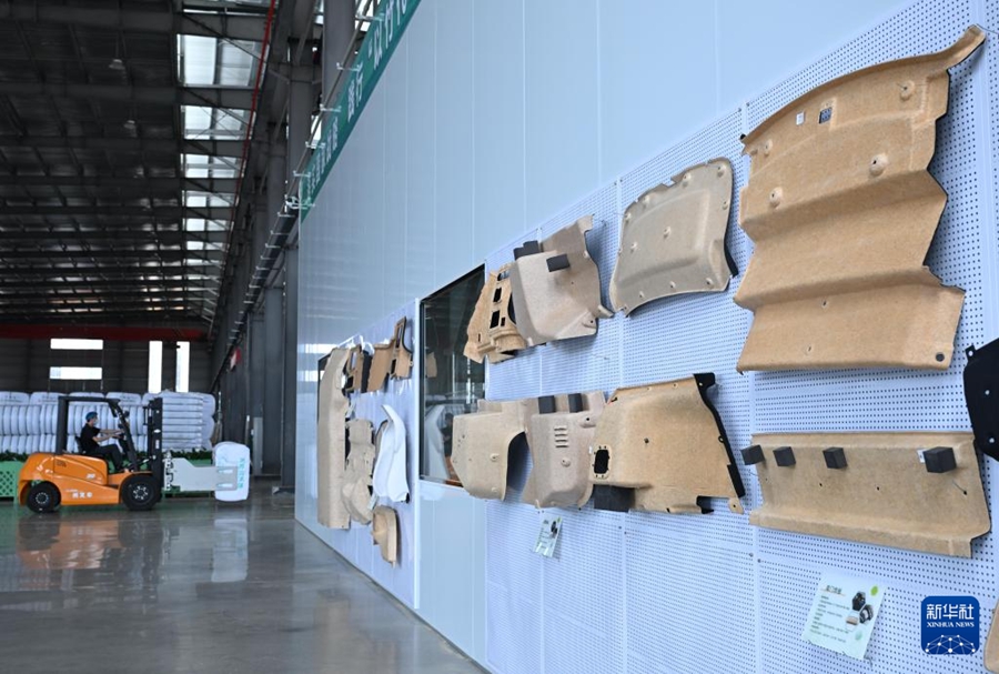 Liuzhou: Sostituzione della plastica con materiali a base di bambù nell'industria automobilistica