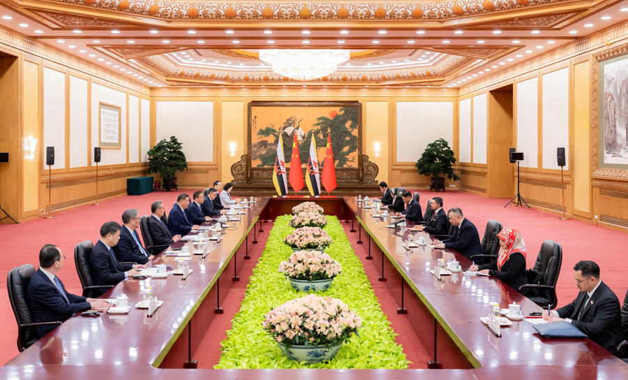 Xi Jinping incontra il Principe ereditario del Brunei