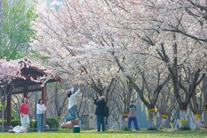 Primavera nel pieno del suo splendore in tutto il Paese