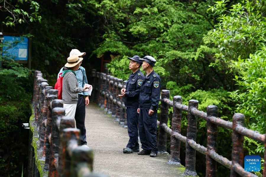 Coltivatore di tè pattuglia il Parco Nazionale di Wuyishan come guardia forestale