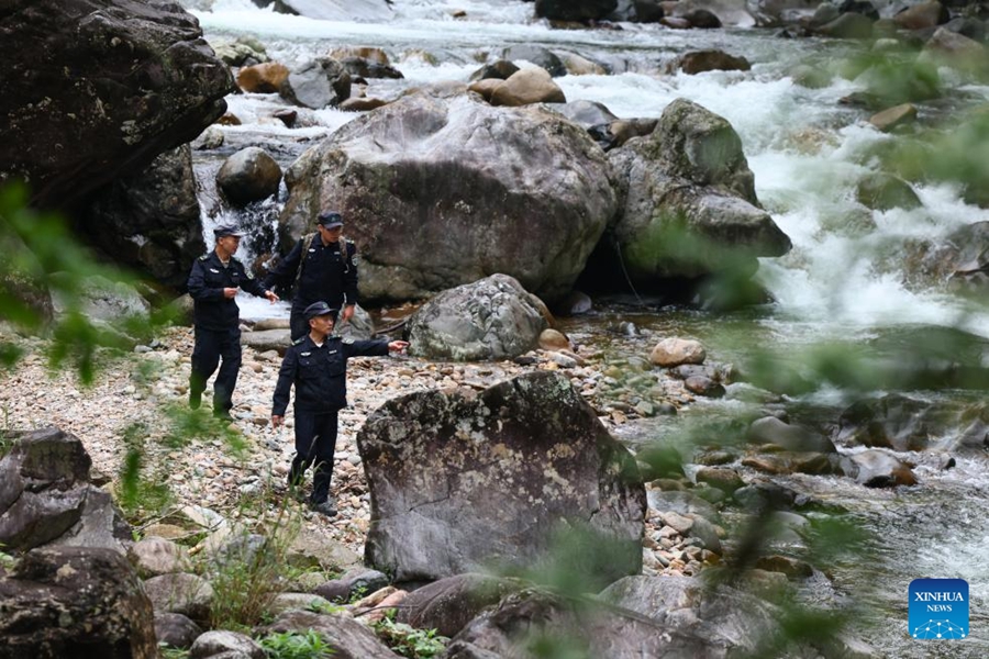 Coltivatore di tè pattuglia il Parco Nazionale di Wuyishan come guardia forestale