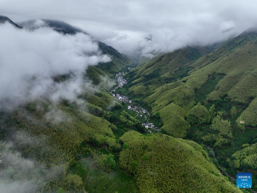 Coltivatore di tè pattuglia il Parco Nazionale di Wuyishan come guardia forestale