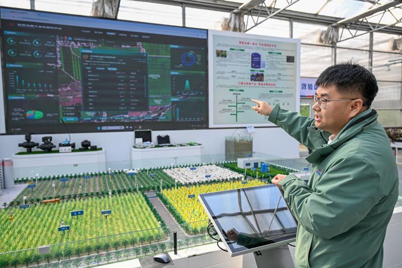 Membro dello staff monitora in tempo reale le condizioni sul campo per coordinare la consegna e lo stoccaggio dei fertilizzanti tramite un sistema intelligente, presso un'azienda di fertilizzanti nella Contea di Manas, nella Regione Autonoma Uigura dello Xinjiang, Cina nord-occidentale. (4 marzo 2026 - Xinhua/Ding Lei)